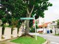Palm Grove Avenue (D19), Semi-Detached #156500532